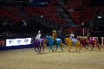 Quadrille - 00584